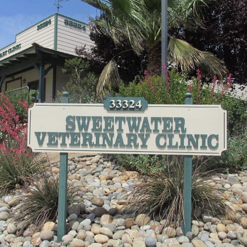 Sweetwater Veterinary Clinic in Santa Clarita